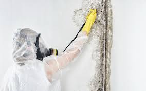  Logan Elm Village, OH Mold Inspection Pros